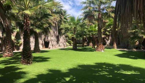 CASA RURAL EN BOSQUE DE PALMERAS - Foto 4