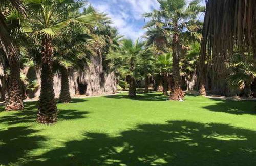 CASA RURAL EN BOSQUE DE PALMERAS - Foto 4