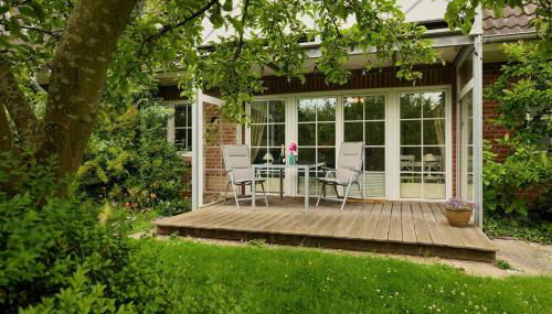 Holunderbusch - Foto 2