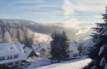 Feldbergblick - Foto 30