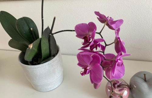 Arco Townhouse - Foto 15