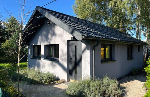 Ackermannia - Foto 41