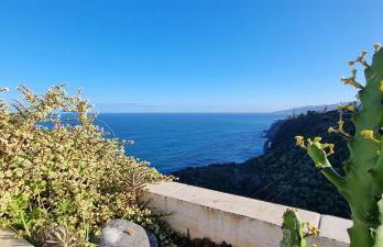 Tropical Leaves Puerto de la Cruz Tenerife - Foto 12