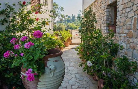 Pension Andromeda - Foto 41