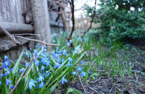 200 Years of History - Foto 27