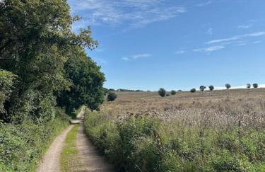 The Workshop - Foto 24