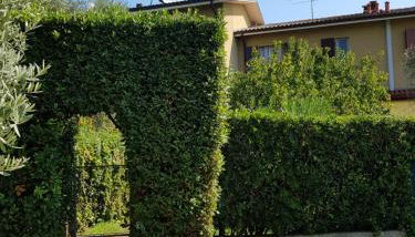 Casa Malina Ferienhaus im Grünen am Gardasee - Foto 2, Garden