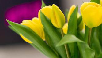 Ambrosia Suite - Foto 3