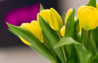 Ambrosia Suite - Foto 3