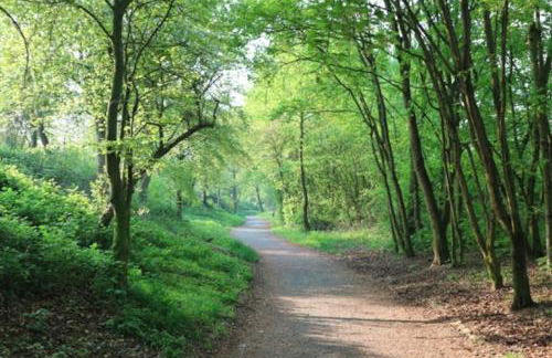 Troisdorf - Rotter See - 60 Qm - 1 bis 3 Personen - Foto 16