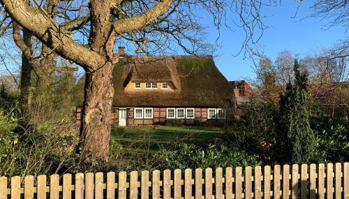 Fewo -Hiddingen - Foto 3