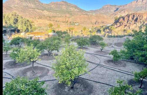 casa rural LA LIMERA con piscina privada - Foto 58