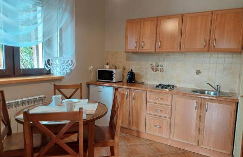 Willa Przekop - apartamenty - Foto 28