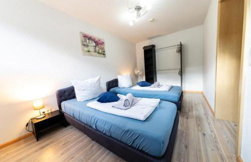 Fe Wo Europa Park - Rulantica-Straßburg - Colmar - Klimaanlage- Wallbox - Foto 17