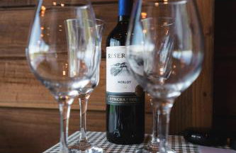 Top Cabana Romântica Serra Catarinense - Anitápolis SC - Photo 21