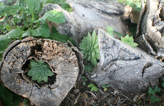 Apartments and Rooms LEA - Photo 72