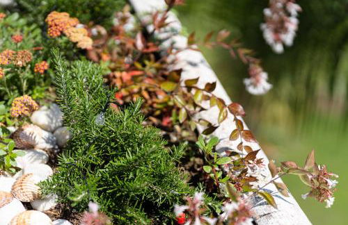 Costalita Beach Apartment - Photo 30