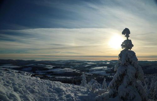 Ferienwohnung Hankeln - Foto 43