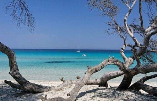 Coin tranquille à 2km de Saint-Florent - Foto 14