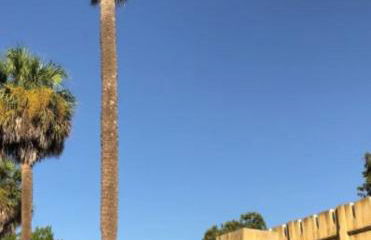 Stylish Downtown Cottage - Prime Historic Location - Foto 29