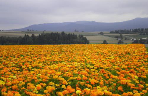 Ferienwohnung am Weissenstädter See - Foto 25