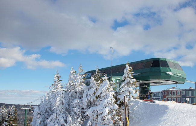 Leatherbark - Foto 21