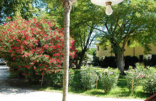 Fattoria di Migliarino - Foto 28