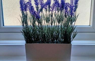 The Bunker, Golf Cottage - Foto 17