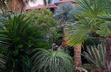 Monica's Tropical Villa - Foto 50