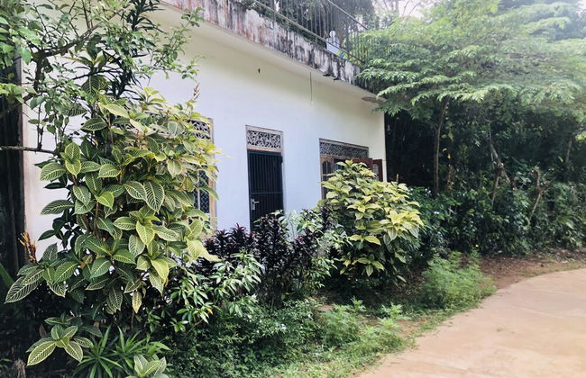 Thaaru Guest - Photo 29