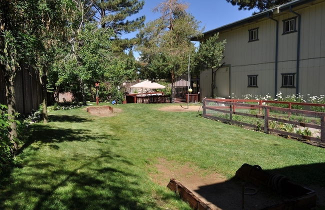 The Americana Village - Foto 28