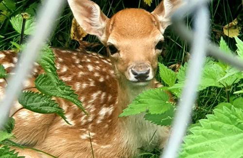 Przystań Nad Zatoką - Gospodarstwo Agroturystyczne - Foto 74