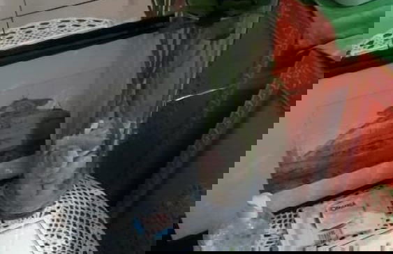 Floris Guest House Milan - Foto 26