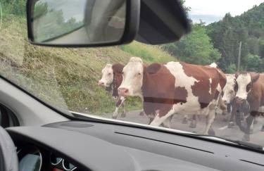 CHARMANT APPARTEMENT à 150 M des THERMES et du CENTRE VILLE - Foto 38
