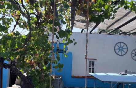 Monte da Freira - Foto 65