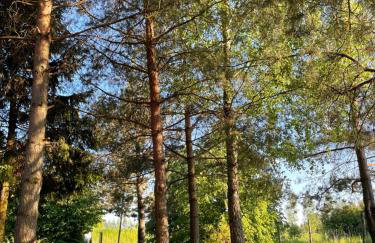 Domek U Stefanów - Królowy Most - Foto 10