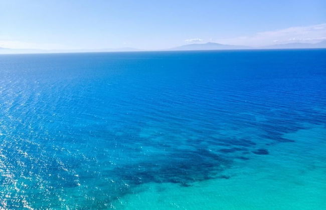 Greek Pride Evlogia - Foto 50