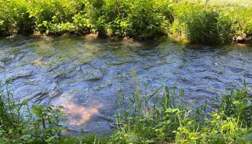 Kerns Ferienwohnung - Foto 4