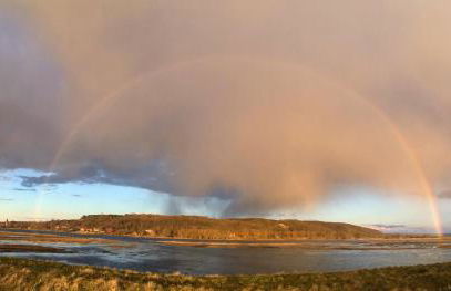 UkuleleHaus Lunow am Nationalpark Unteres Odertal - Foto 23