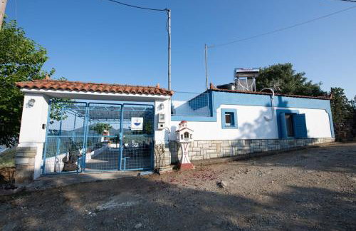 Blue Horizon - Foto 16