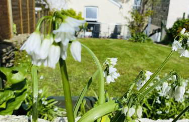 Ocean Terrace, Ilfracombe, 4 bedrooms, Sleeps 8, Stunning Sea Views, Parking, Garden, Pet Friendly - Foto 29