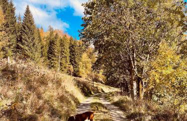 GÓRSKA CISZA - Duży, komfortowy, wyjątkowy Apartament - Foto 72