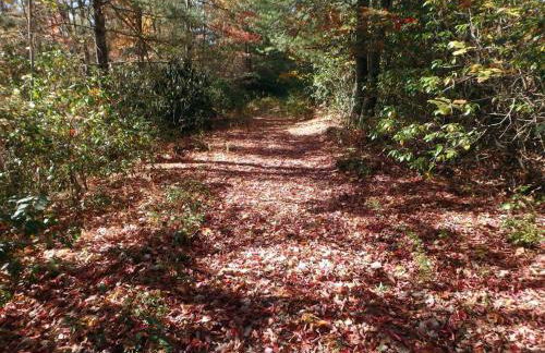 Nantahala Spiritual Retreat - Remote and Peaceful! - Foto 35