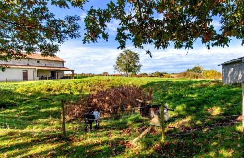 Manoir Les Touches - Gîtes - Photo 12