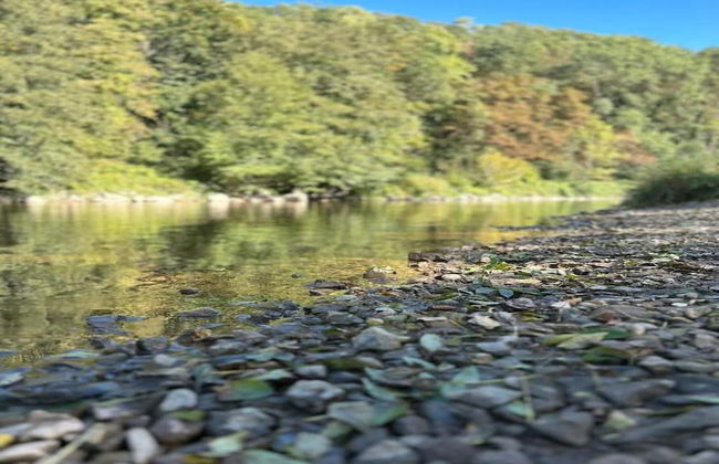 Completely Renovated House near Durbuy - Foto 29