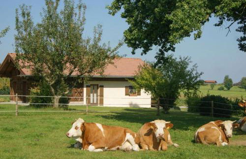 Ferienhaus Axmann - Foto 8