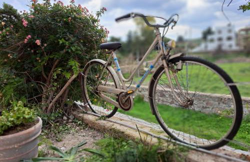 Perivleptos ΙI - Foto 36