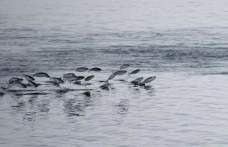 New! Waterfront Heated Pool & Jacuzzi 2 mi to Beach - Fishing Pier Relaxing SPA & Hammock - Photo 11