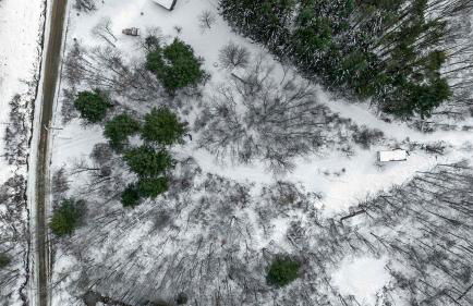 Modern Tiny Home Wraparound Deck - Foto 63