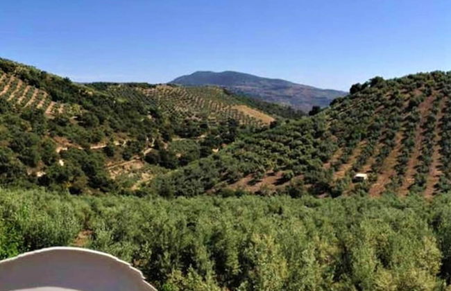 Cottage in Andalucia Near Sierras Subbeticas - Foto 34